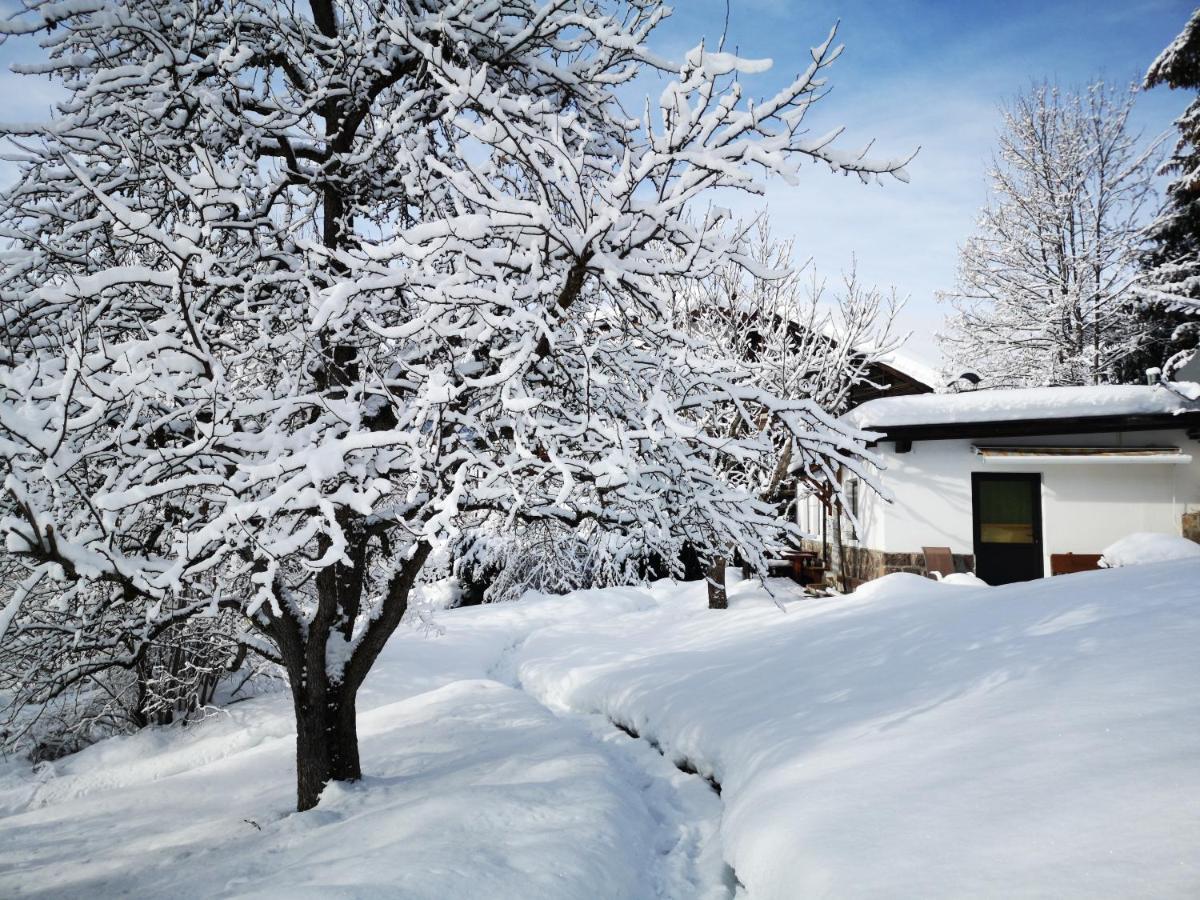 Appartchalet La Rondula Aparthotel Ortisei Exterior foto